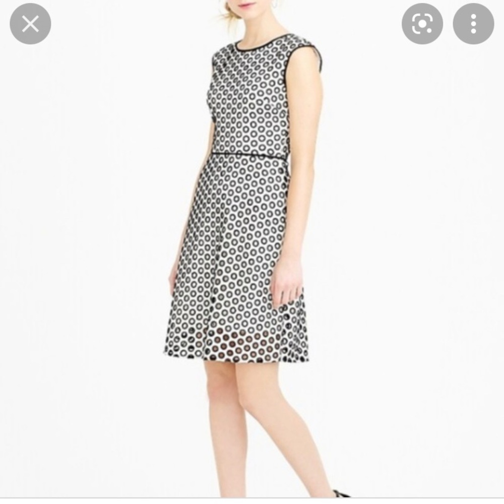 J. Crew Dress